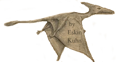 Cuban pterosaur seen by Eskin Kuhn